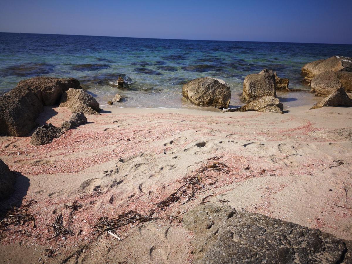 Casa Vacanza Da Samuele Σαν Βίτο λο Κάπο Εξωτερικό φωτογραφία